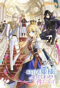 A Side Story of a Certain Princess